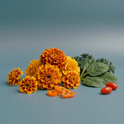 Lutein & Zeaxanthin