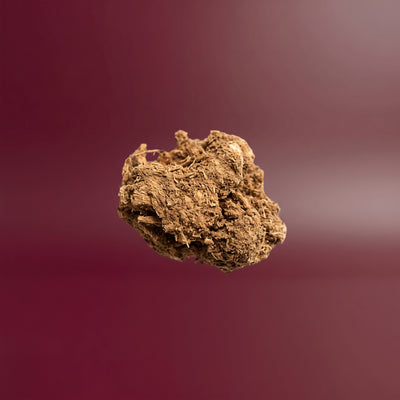 Ginseng Root Extract